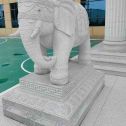 巴中 白麻花岗岩动物异形石雕-大象