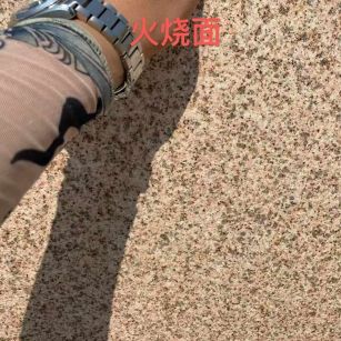 巴中黄金麻火烧面