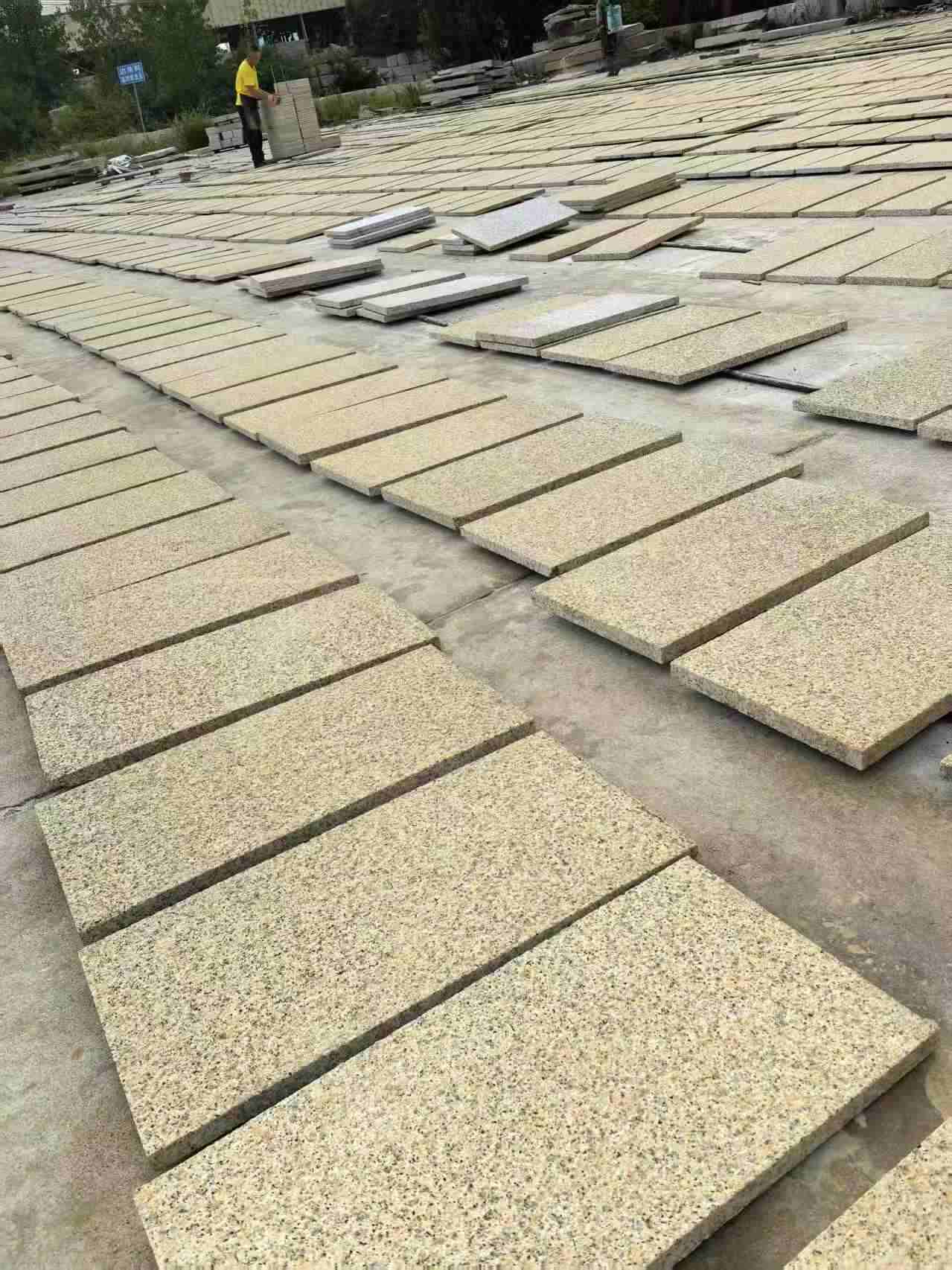 巴中 黄金麻荔枝地铺石面排板