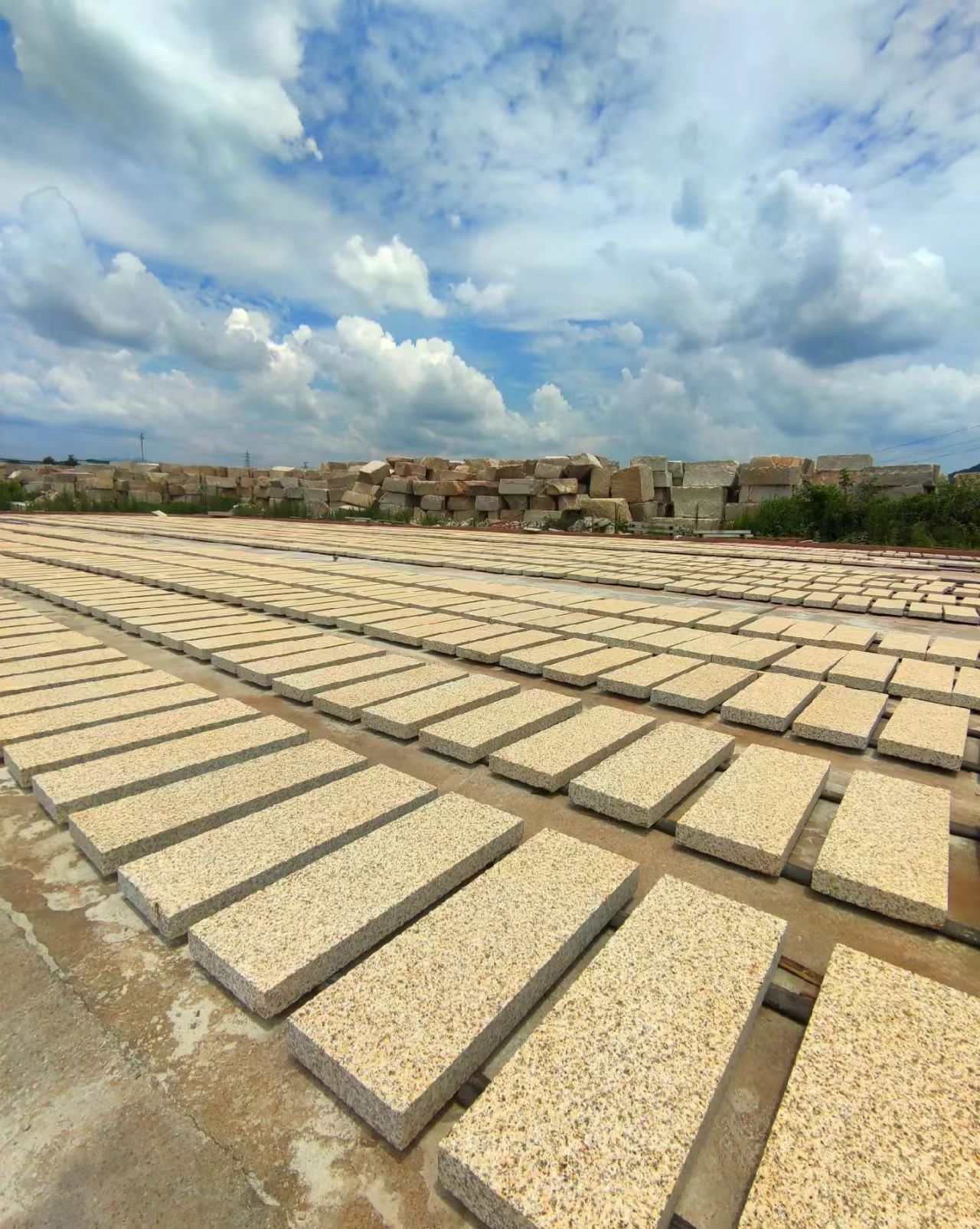 巴中 黄金麻花岗岩荔枝面地铺石防护中