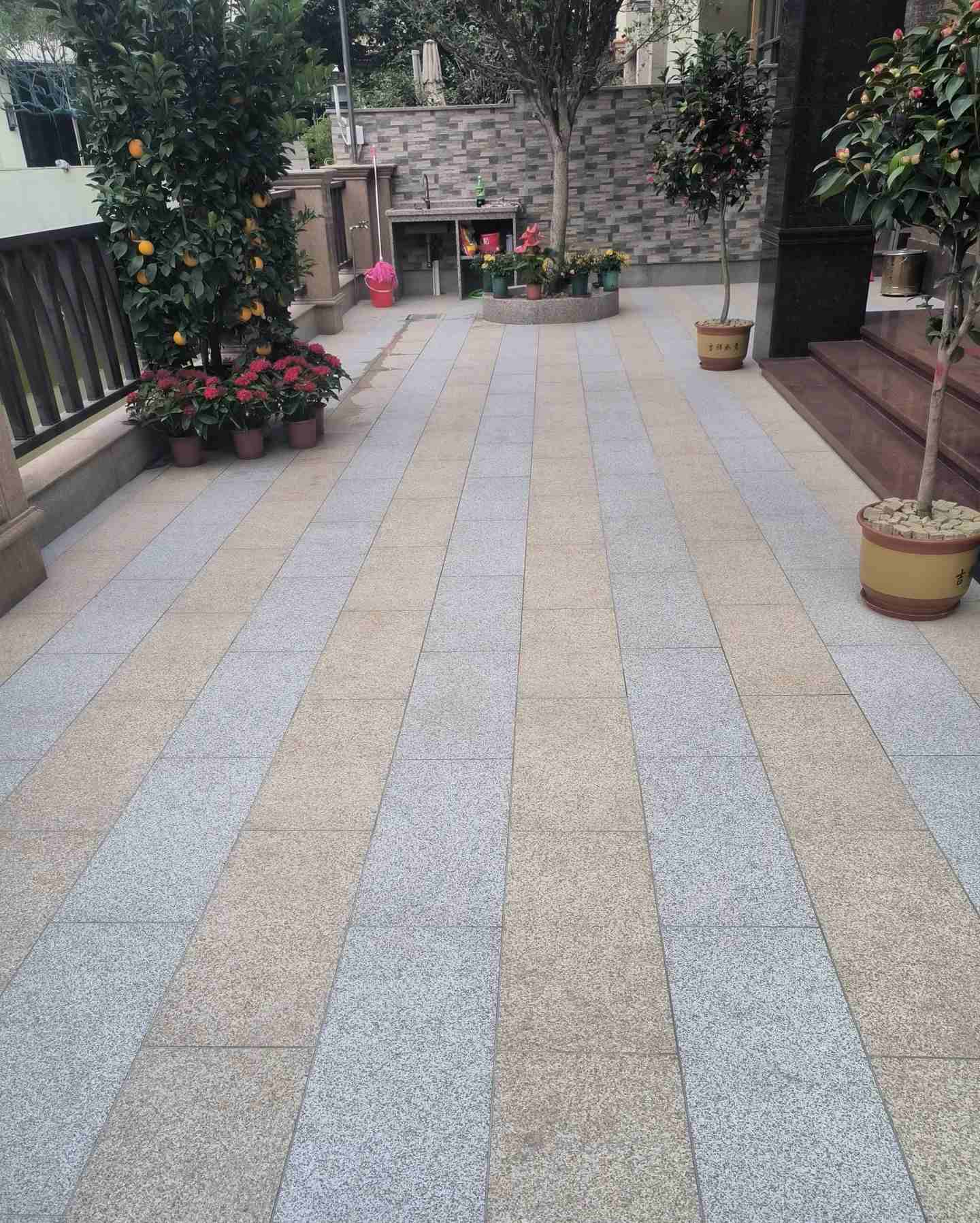 巴中 黄金麻白麻荔枝面庭院铺装展示